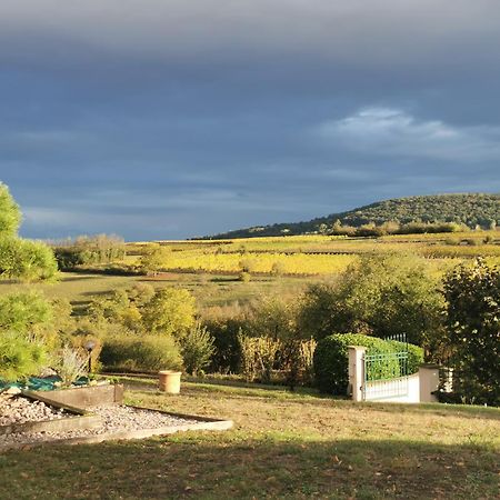 Studio Spacieux, Route Des Vins 罗塞姆 外观 照片
