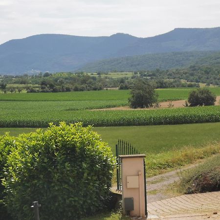 Studio Spacieux, Route Des Vins 罗塞姆 外观 照片