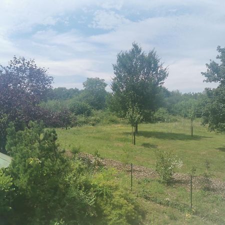 Studio Spacieux, Route Des Vins 罗塞姆 外观 照片