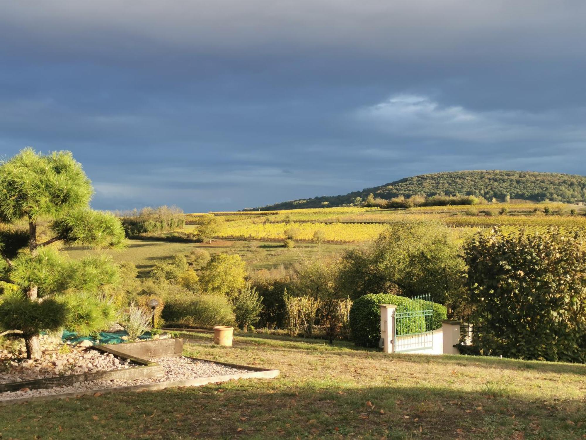 Studio Spacieux, Route Des Vins 罗塞姆 外观 照片