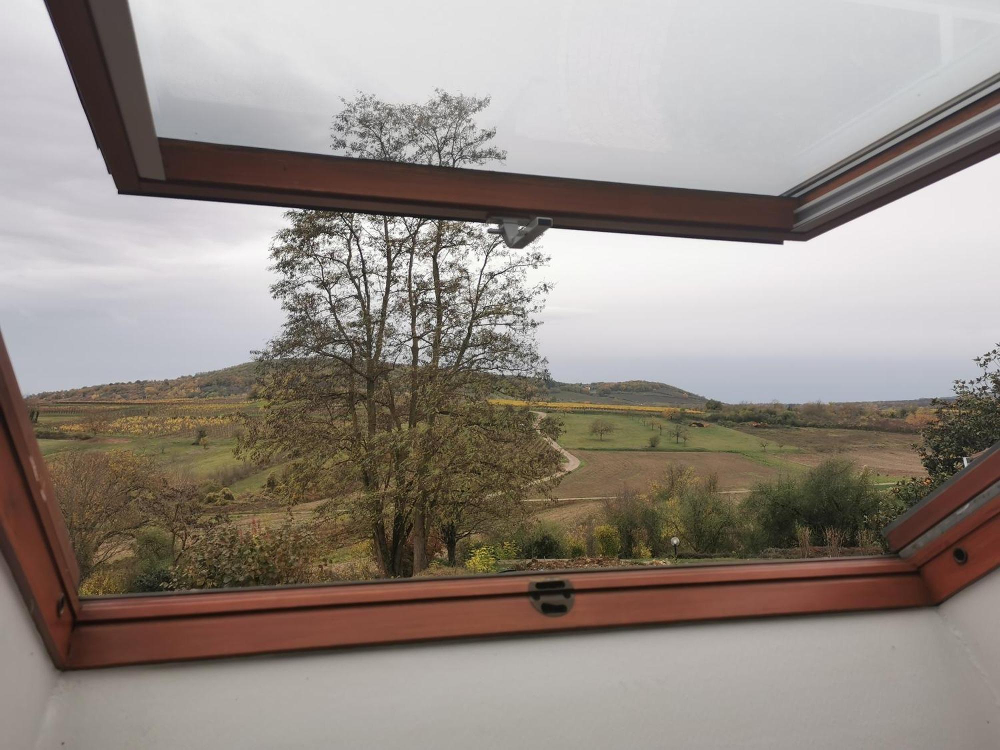 Studio Spacieux, Route Des Vins 罗塞姆 外观 照片