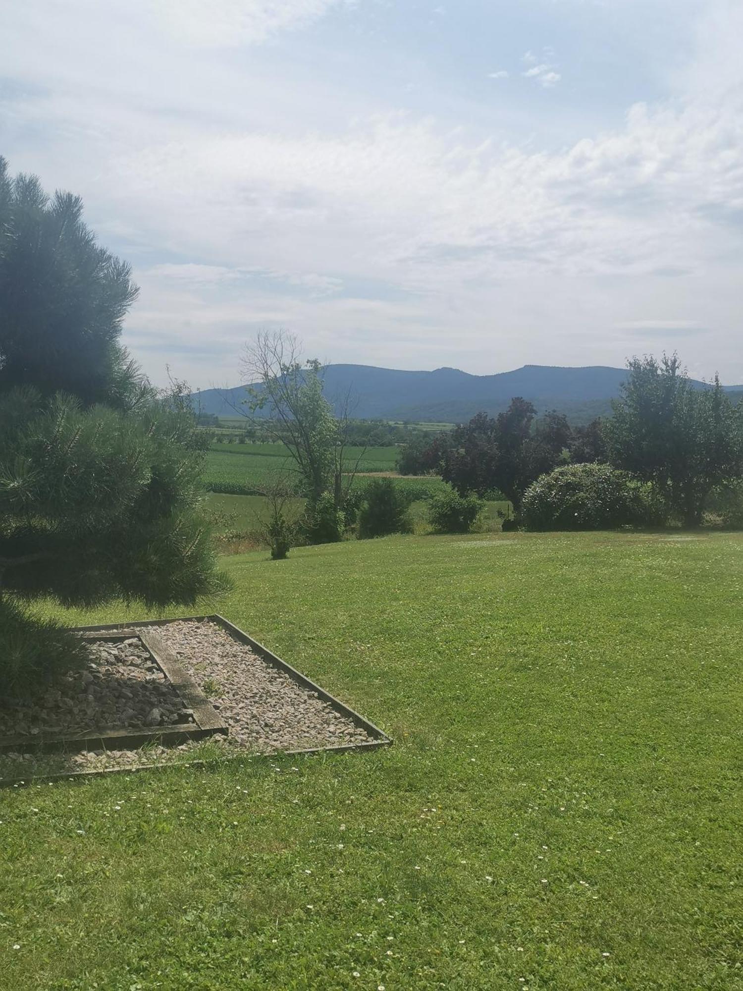 Studio Spacieux, Route Des Vins 罗塞姆 外观 照片