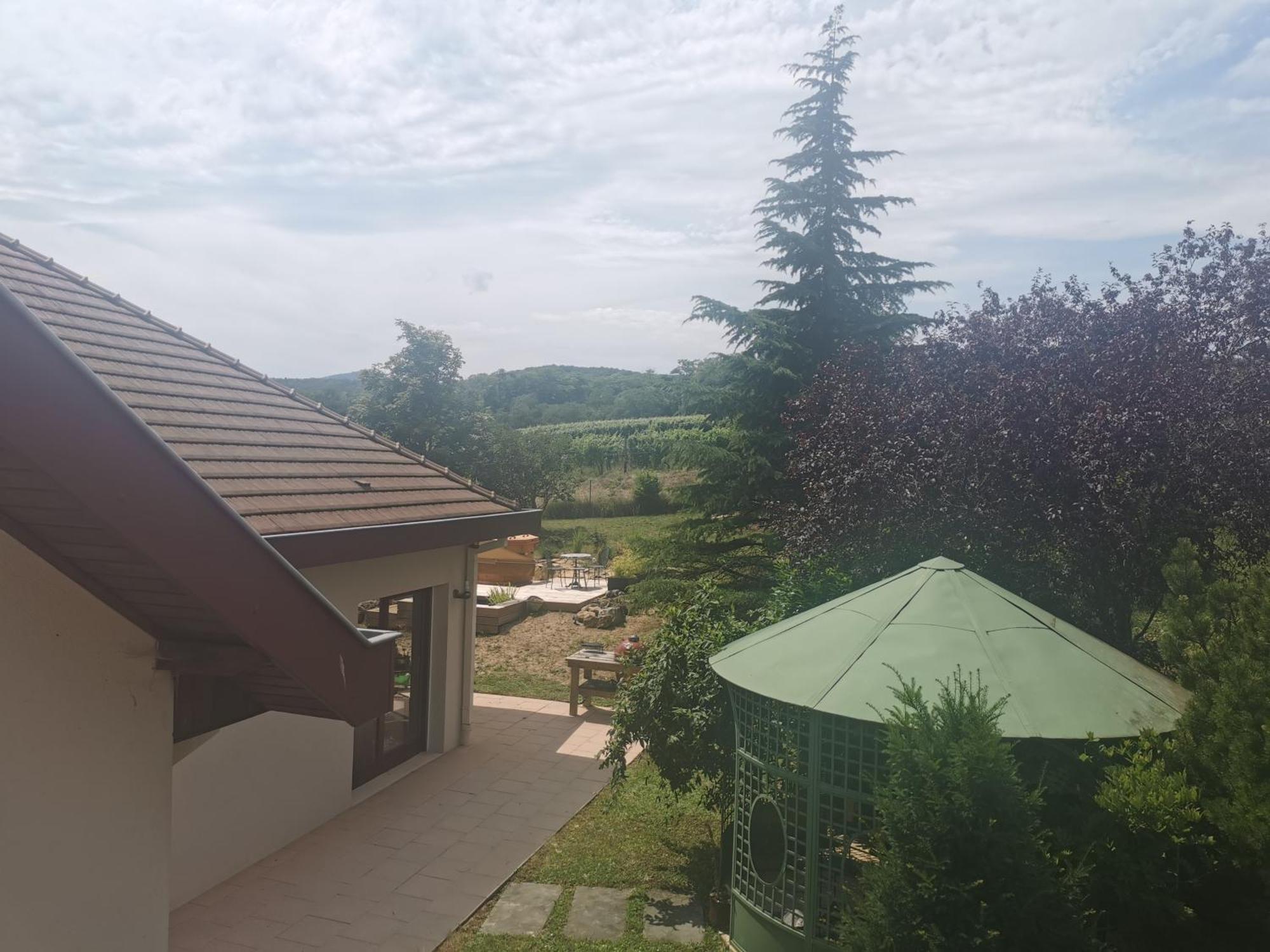 Studio Spacieux, Route Des Vins 罗塞姆 外观 照片